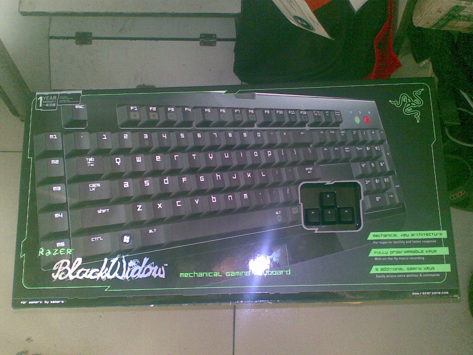 20110103.jpg