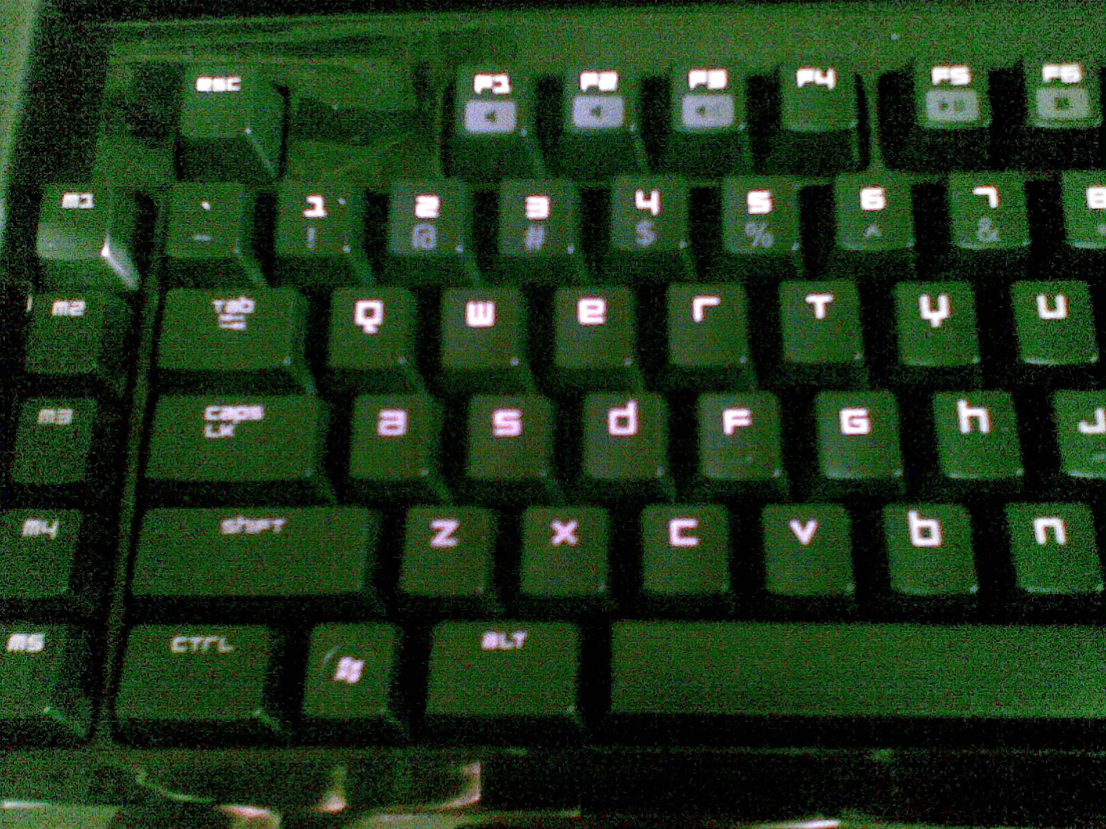 20110103_004.jpg