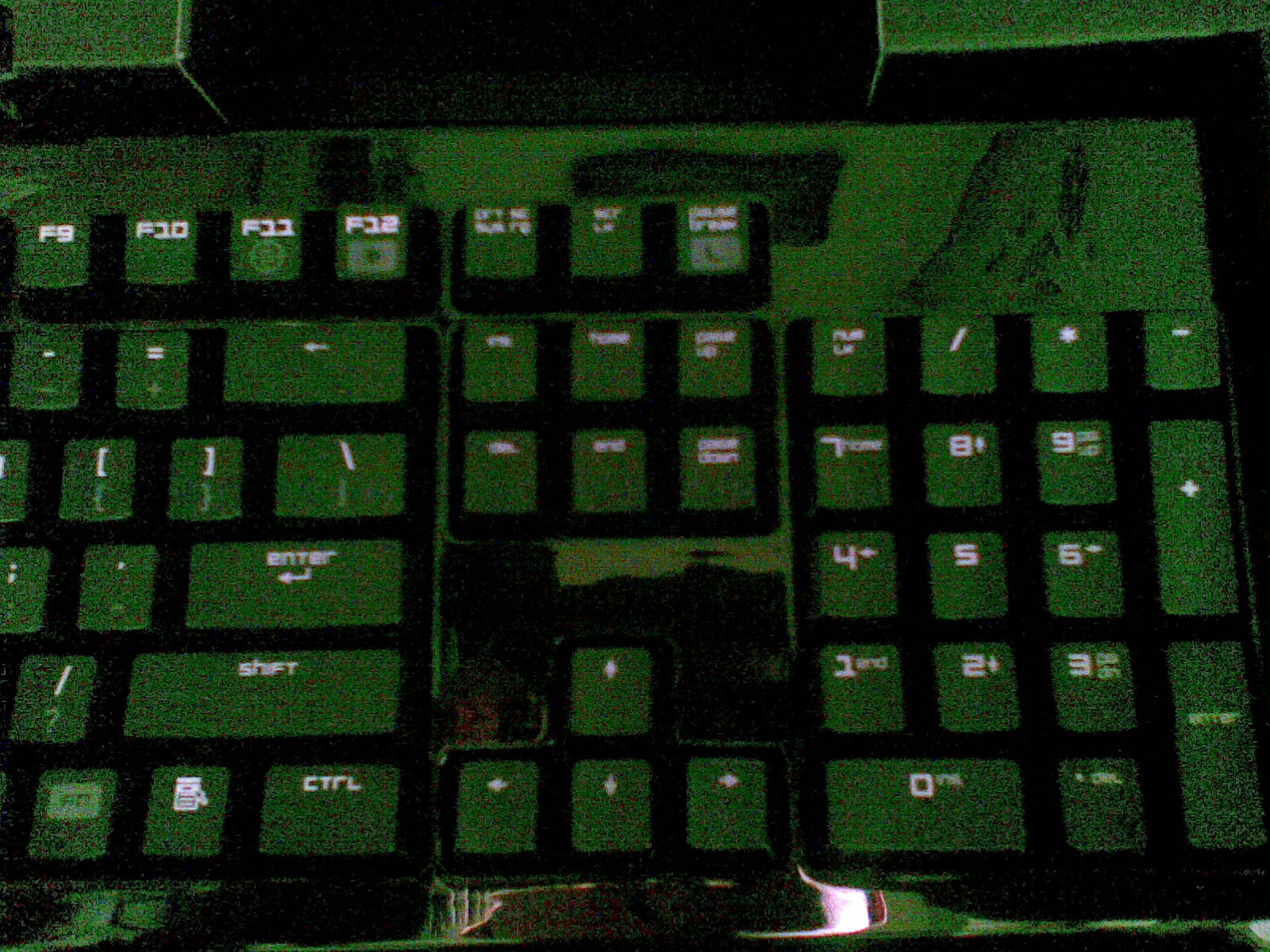 20110103_003.jpg