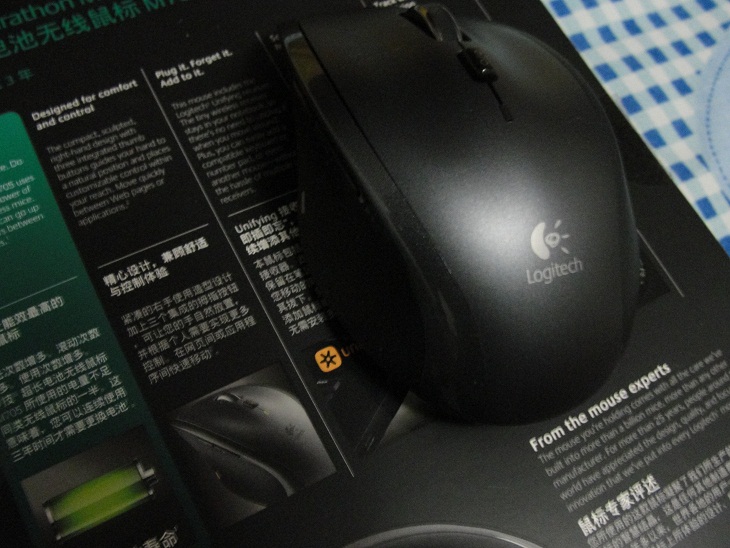 DSC01481.jpg