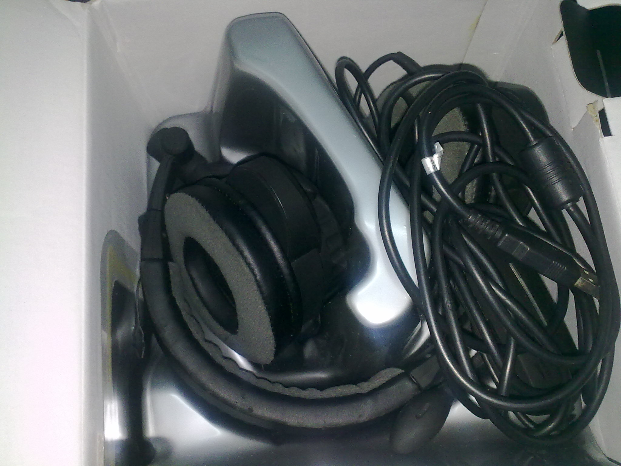 20101228105.jpg