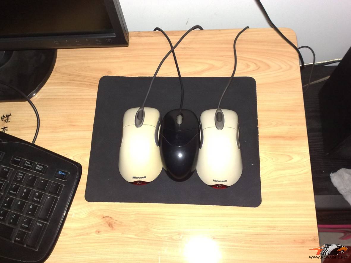 LKFX)WH[69%QDPCCMSDR[N1.jpg