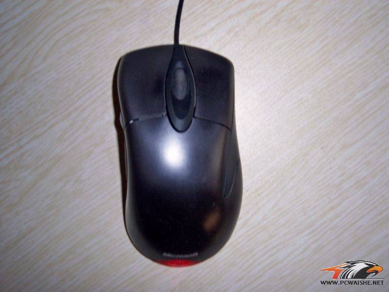 100_3203.JPG