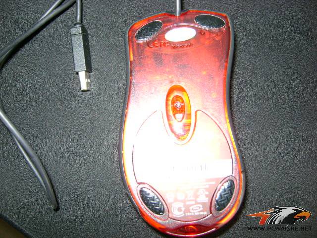����9��FK,��ҧ�˵ĺ�������518���ɰ�����ʬ�壡