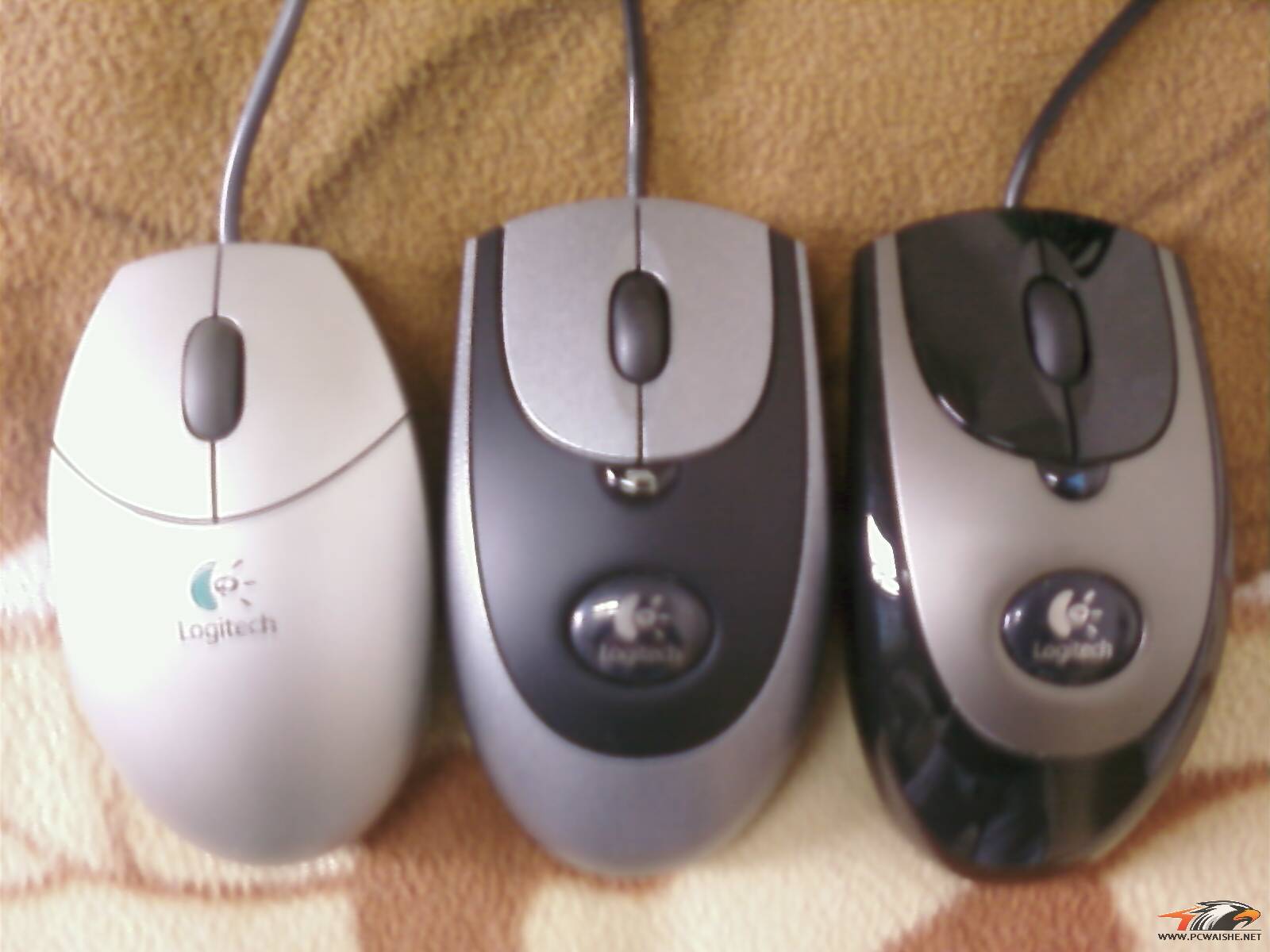 minix300g1.jpg