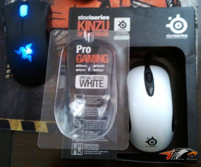 �鷳��Ұ��ҿ���KINZU�İ�װ������������?