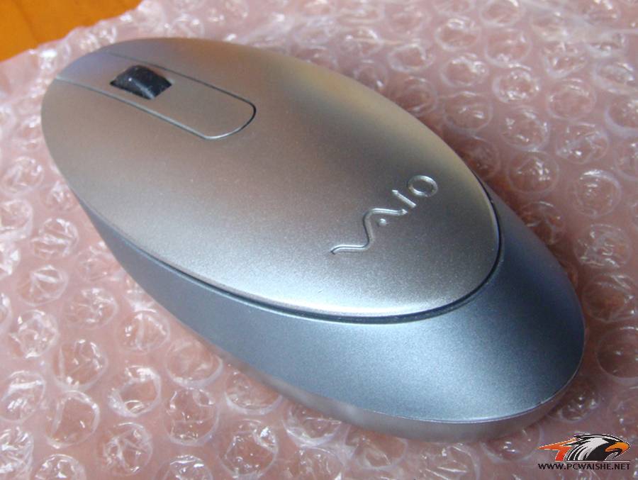 (۳)SONY  VGP-BMS33