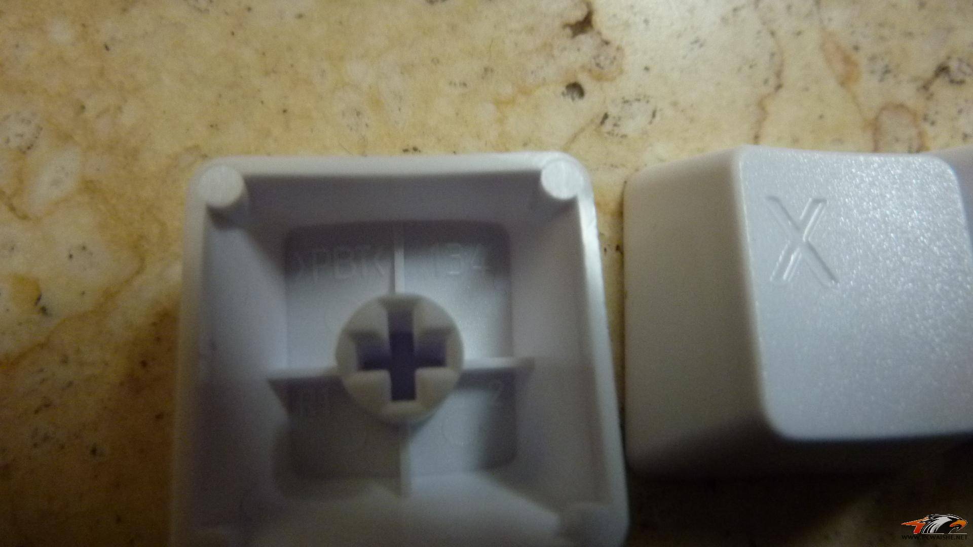 �ѳ�����~��37��PBT��ͬ��11����ɫ���ñ~