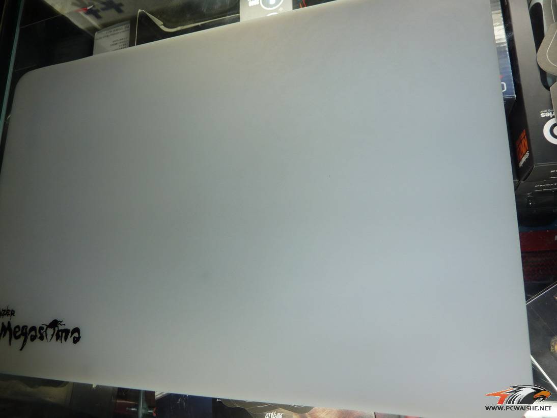 P1000807.JPG