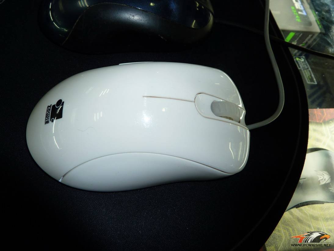 P1000810.JPG