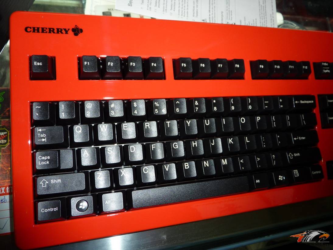 P1000821.JPG