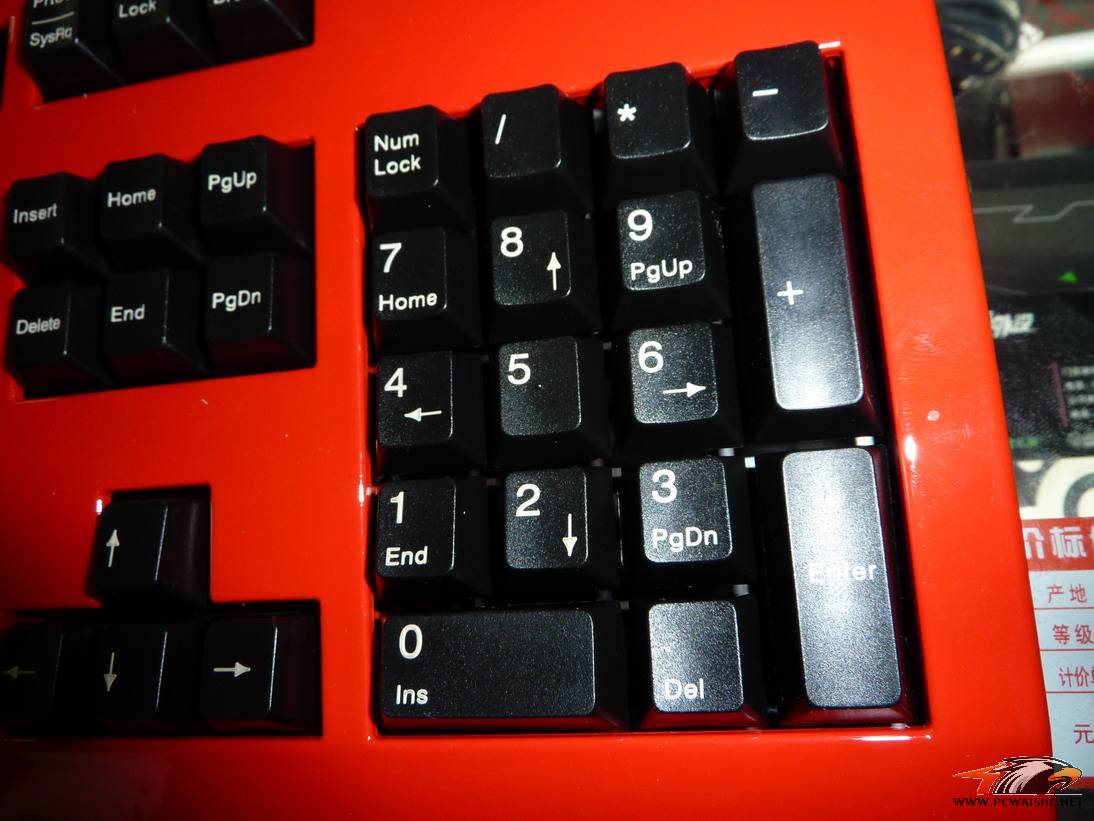 P1000819.JPG