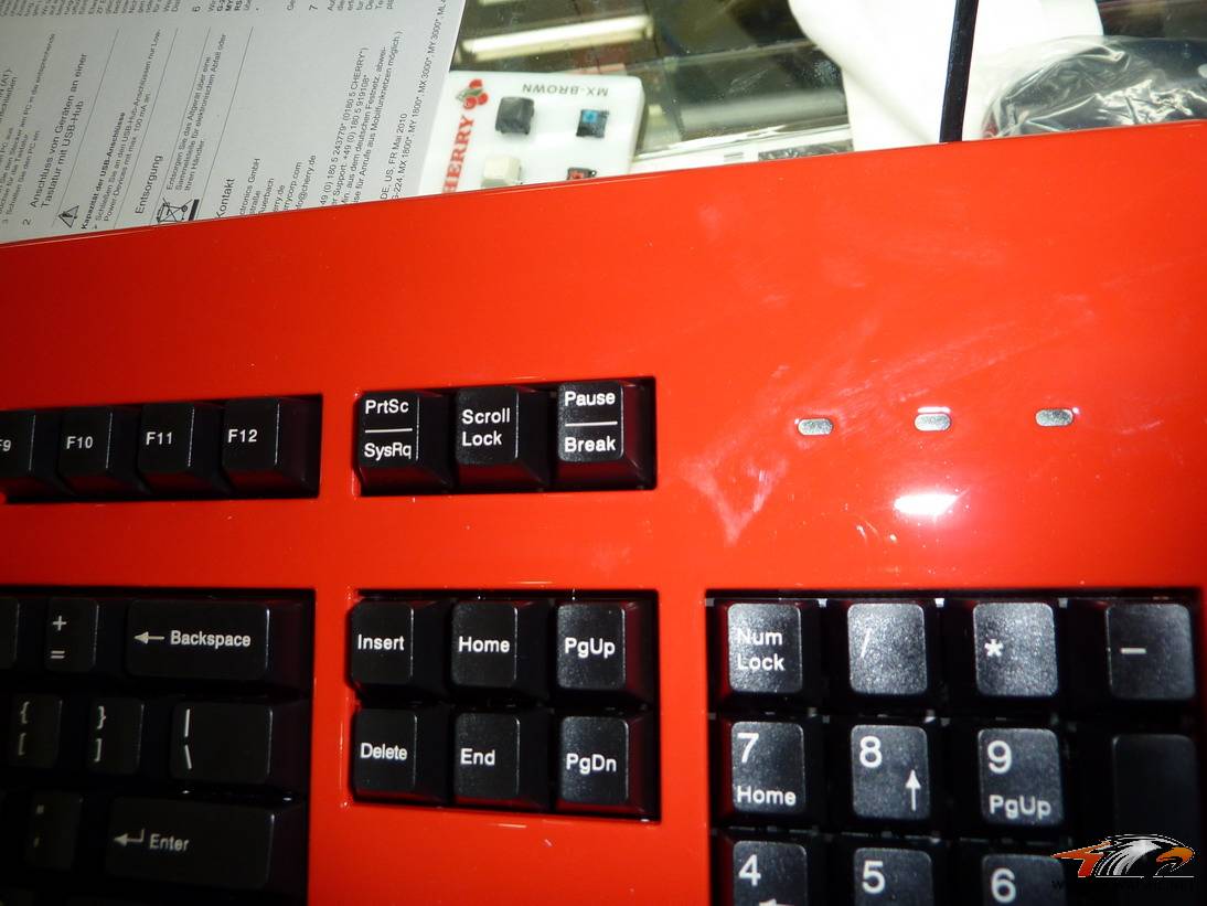 P1000820.JPG