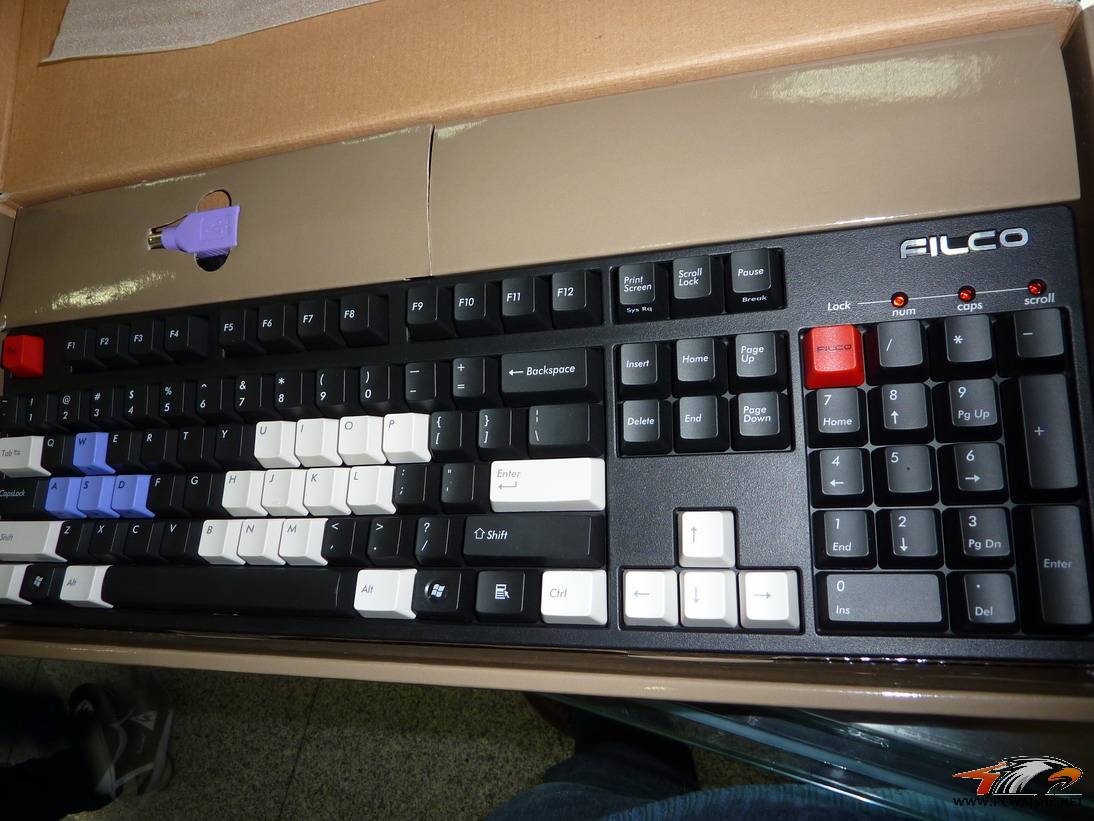 P1000833.JPG