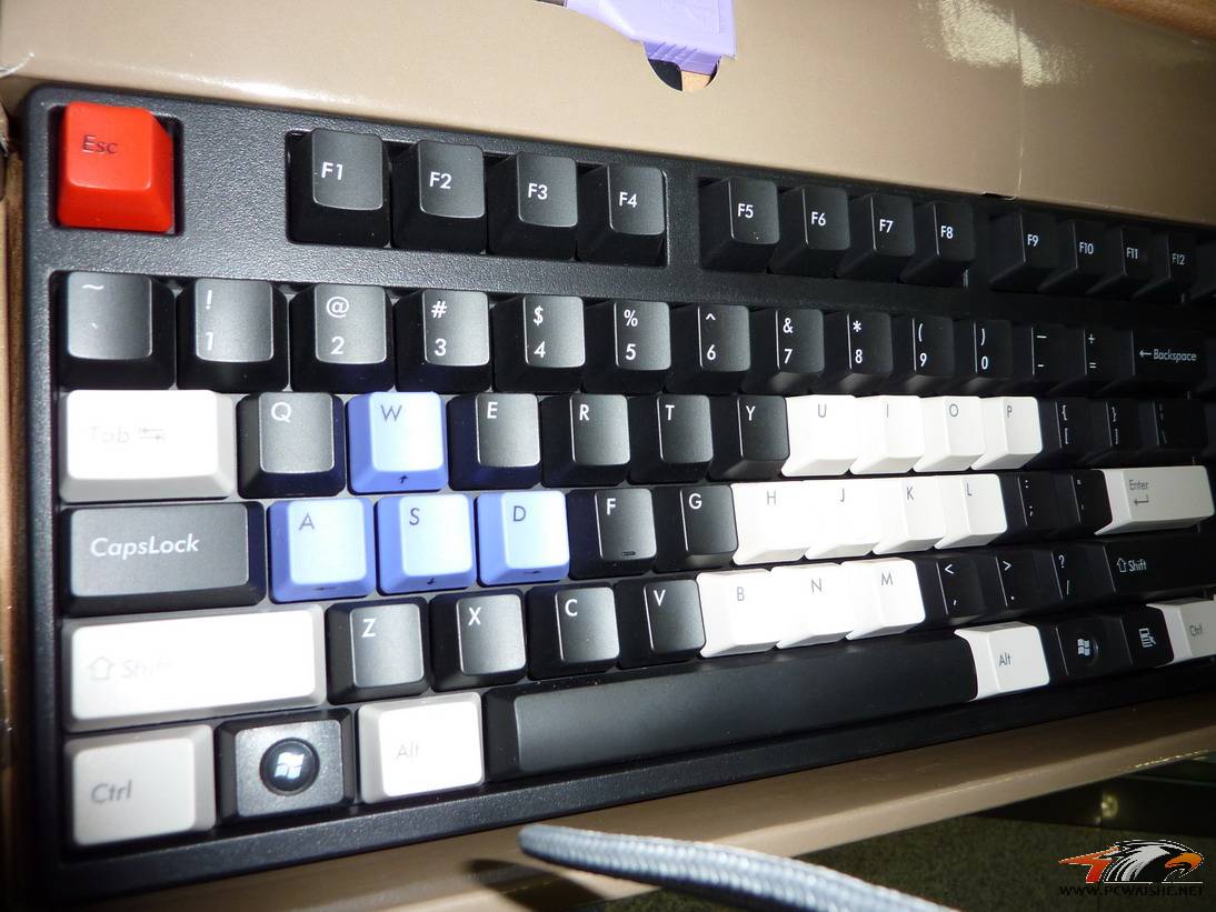 P1000837.JPG