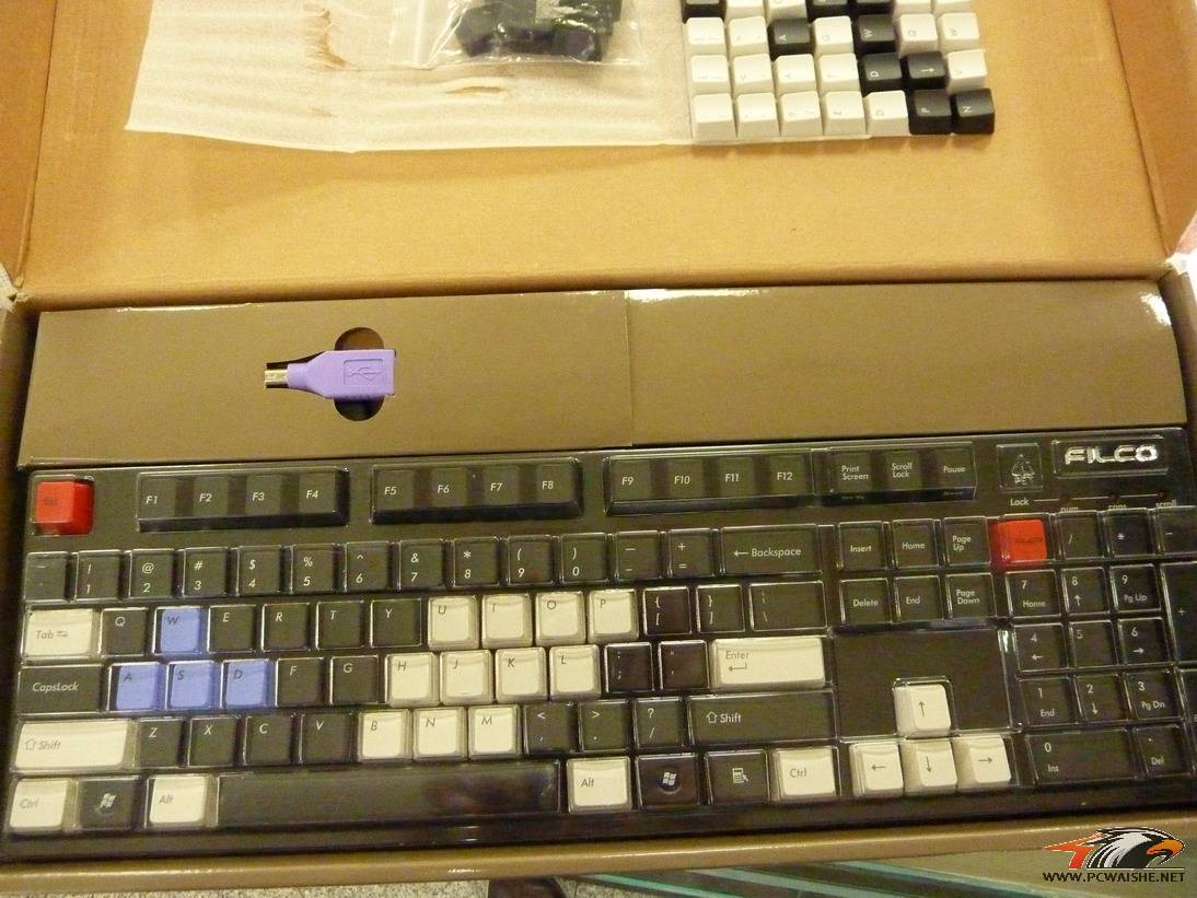 P1000831.JPG