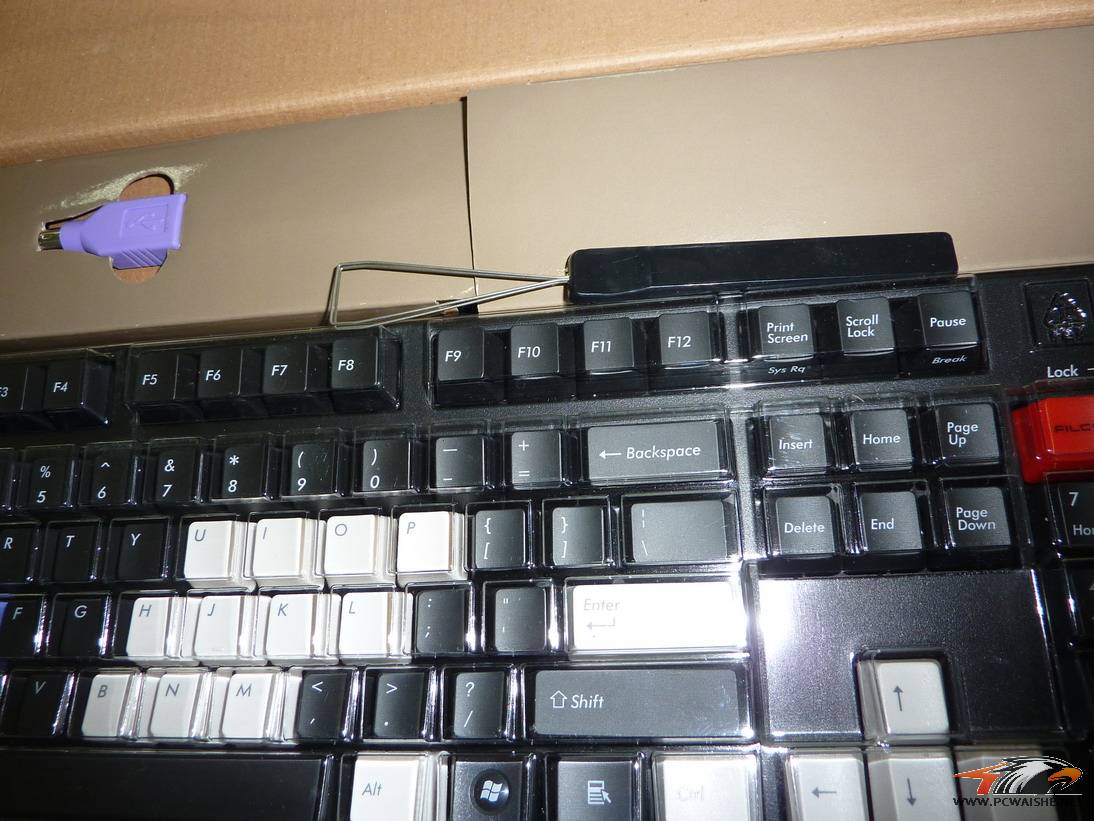 P1000840.JPG