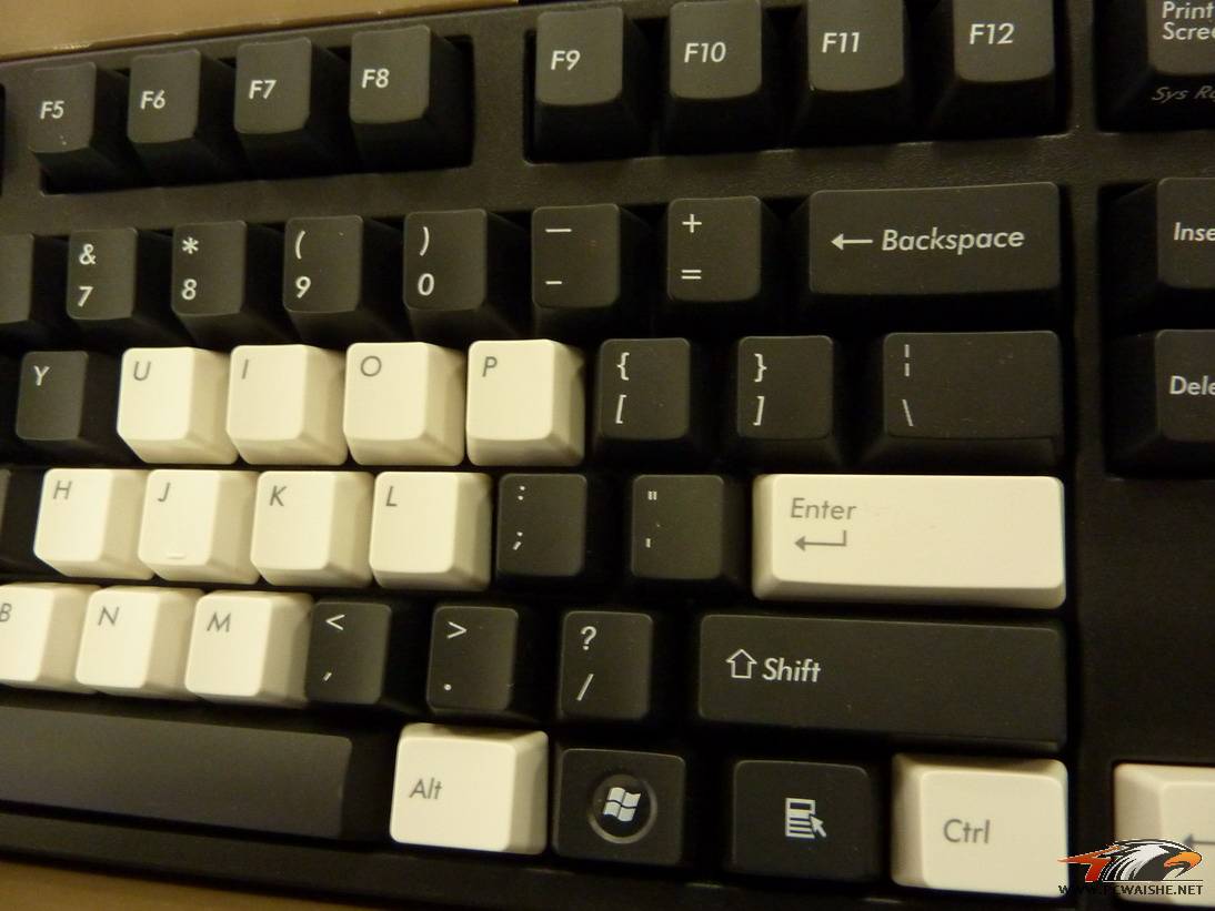 P1000835.JPG