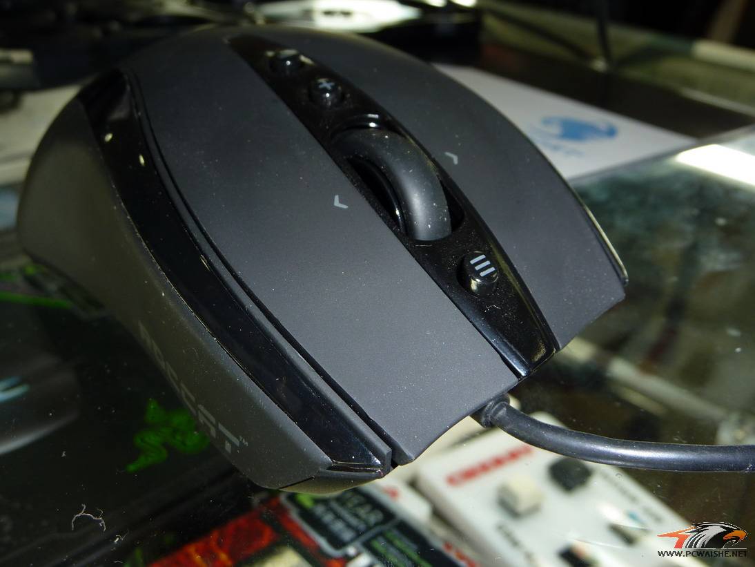 P1000851.JPG