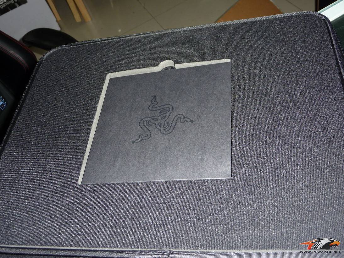 P1000853.JPG