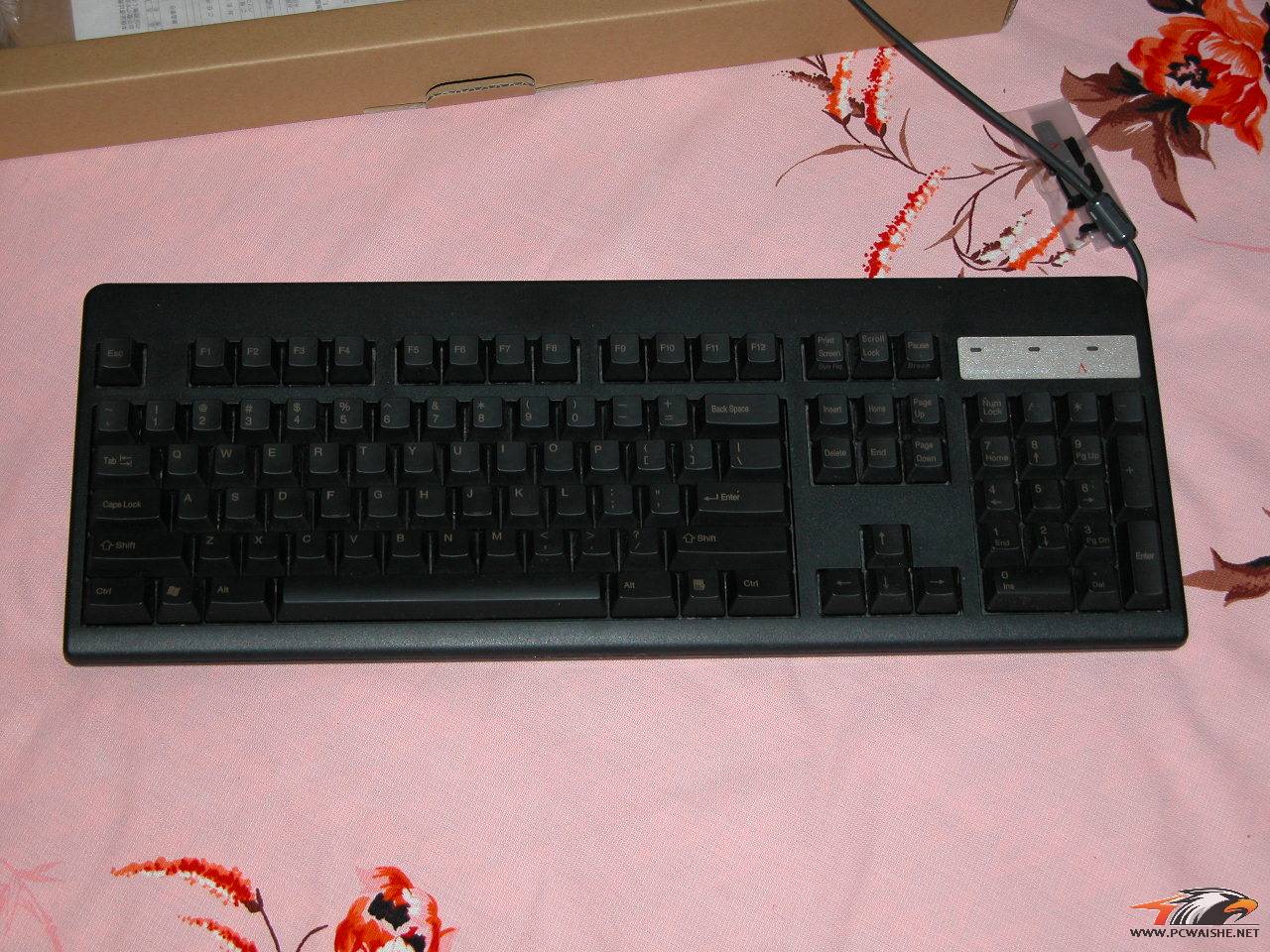 DSCN0401.JPG