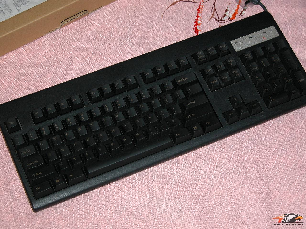 DSCN0400.JPG