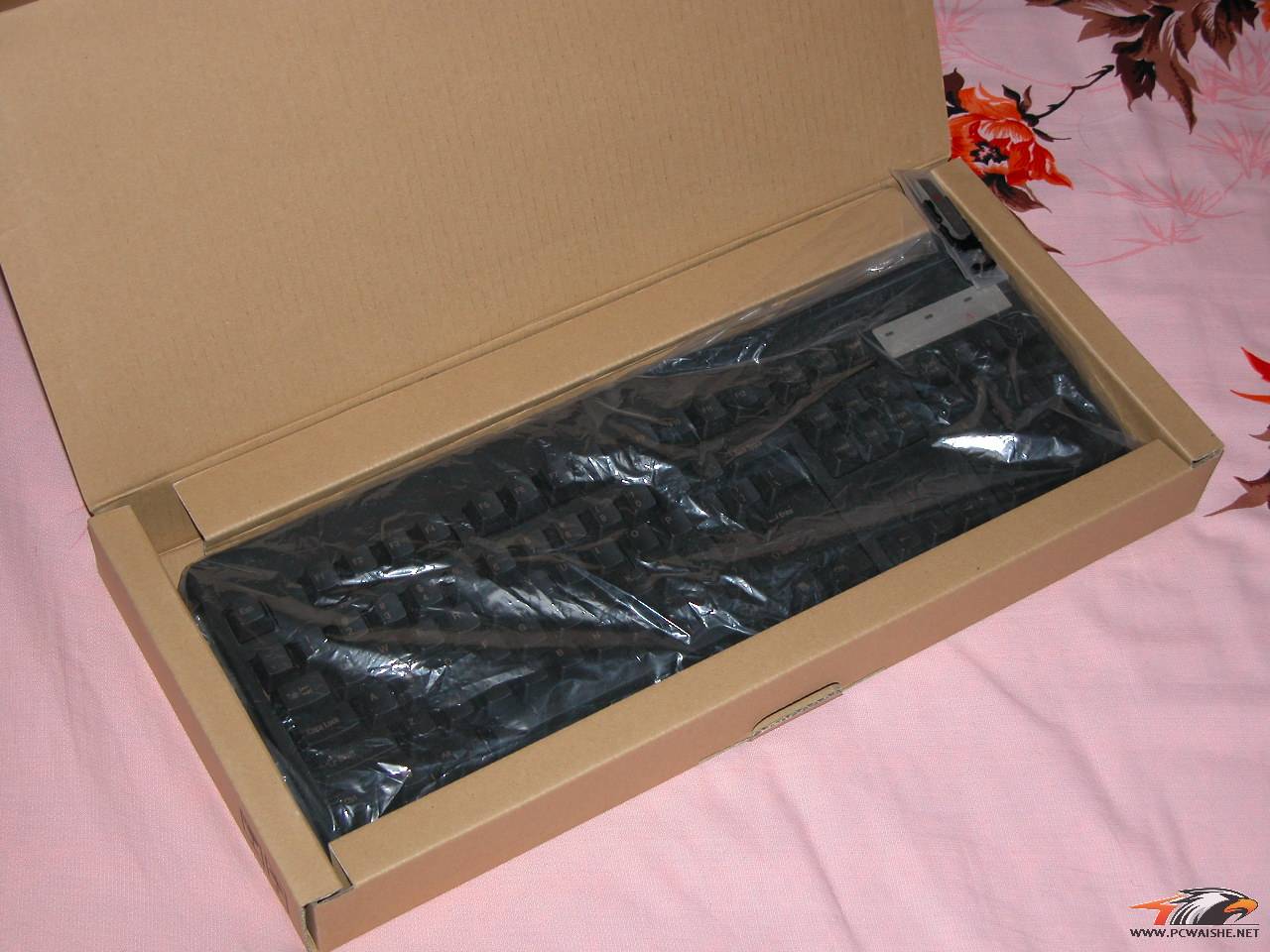 DSCN0399.JPG