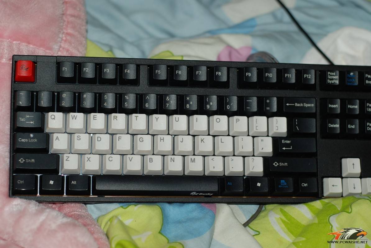 ����400˳�ᵽ����һ��Ѽ��1087��ɫ�������