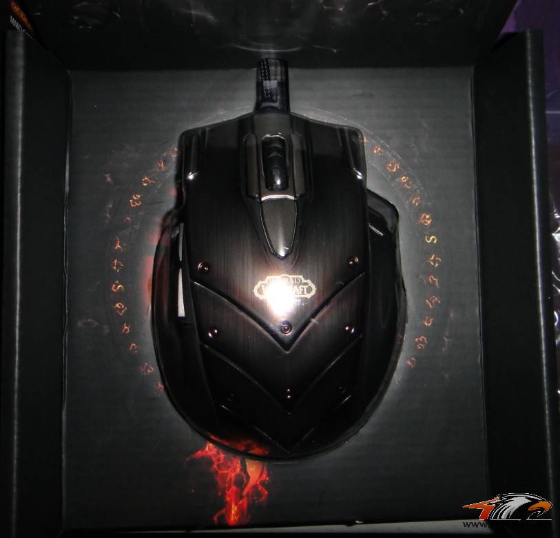 WOW�������-SteelSeries CTM MMO