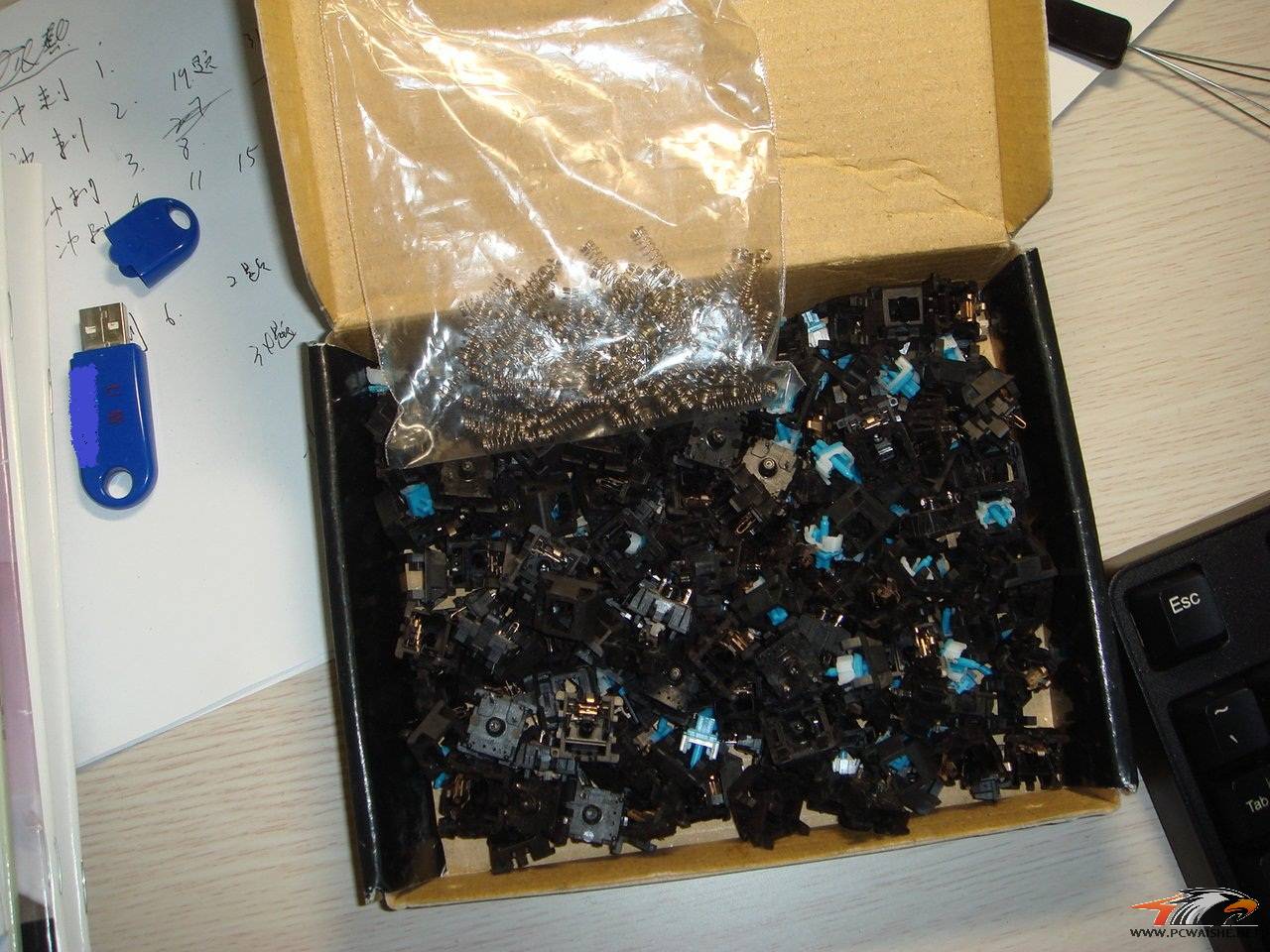 DSC00876.JPG