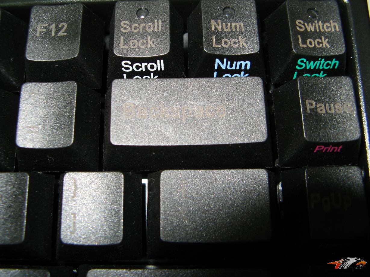 ���˱��� NOPPOO mini �����ǸĽ���