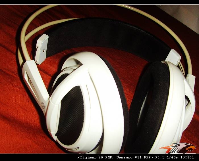 SSL20608.jpg