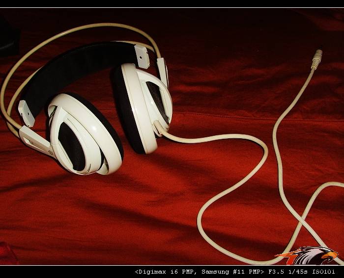 SSL20607.jpg