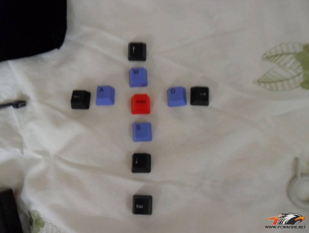DUCKY ��Ѽ�ӣ�1087 ��ɫ���� ���������ͼ- -������400�����·���~