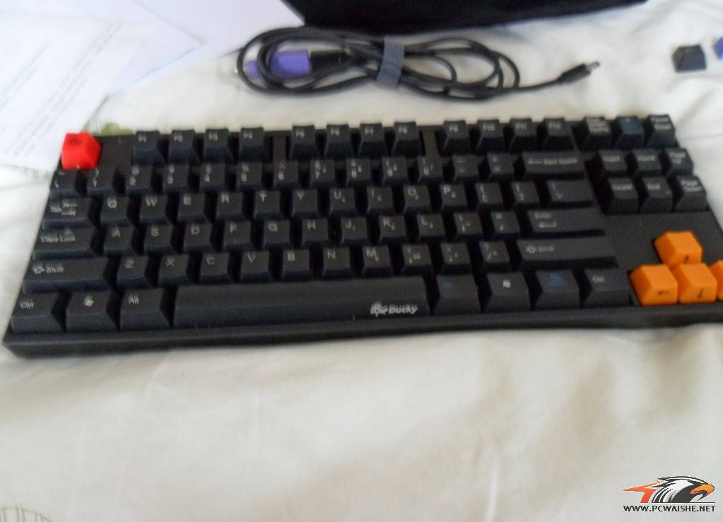 DUCKY ��Ѽ�ӣ�1087 ��ɫ���� ���������ͼ- -������400�����·���~