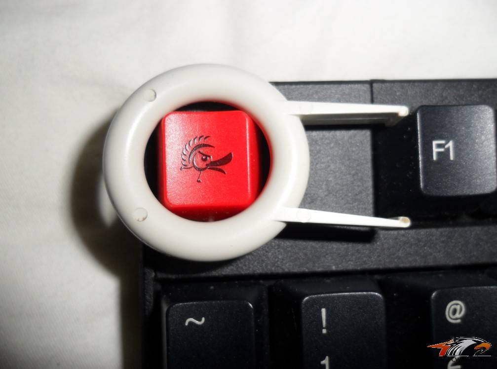 DUCKY ��Ѽ�ӣ�1087 ��ɫ���� ���������ͼ- -������400�����·���~