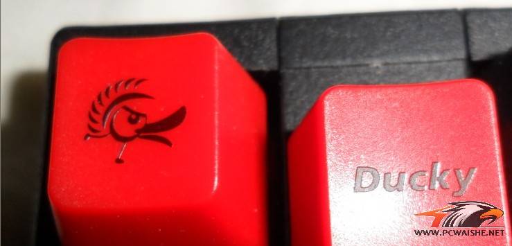 DUCKY ��Ѽ�ӣ�1087 ��ɫ���� ���������ͼ- -������400�����·���~