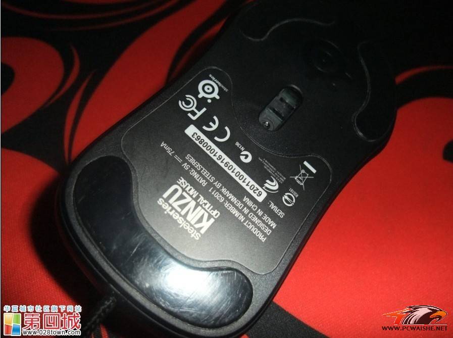 ������ں�KINZU+��»