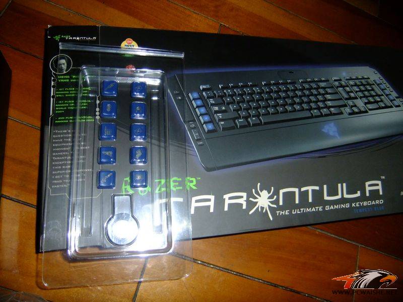 DSCF7101.jpg