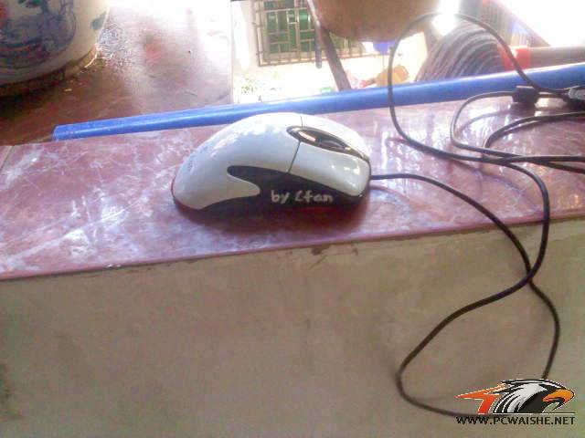 DSC0000173.jpg