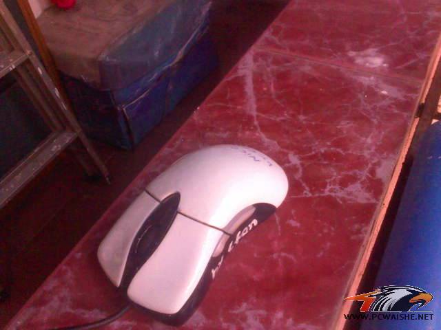 DSC0000175.jpg