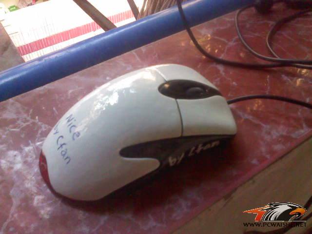 DSC0000176.jpg