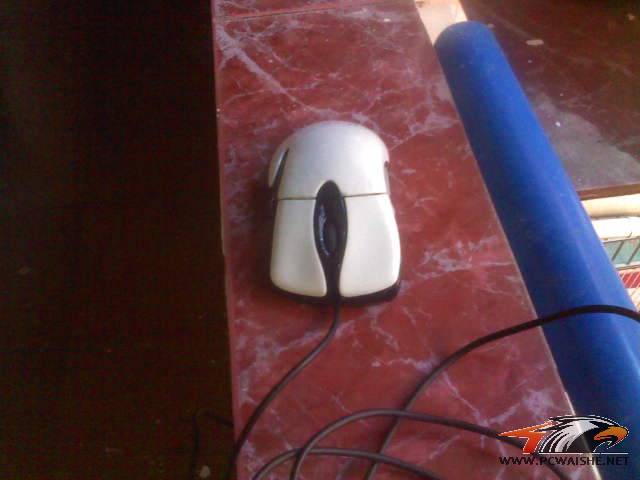 DSC0000174.jpg