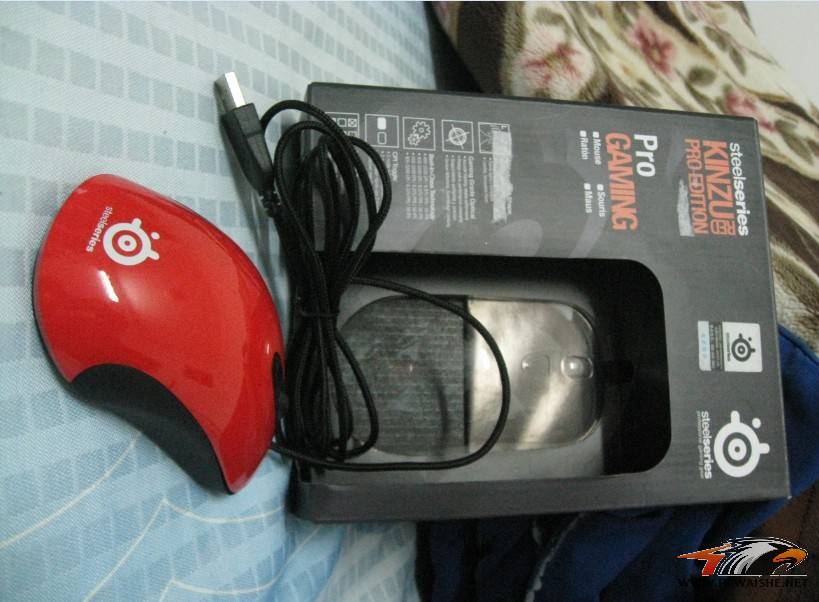 ������ ����fnIO1.1 �ٳ���kinzu