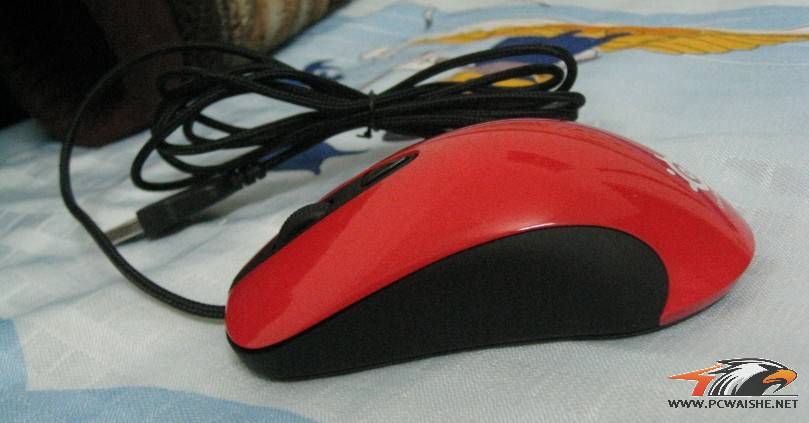 ������ ����fnIO1.1 �ٳ���kinzu