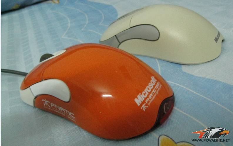 ������ ����fnIO1.1 �ٳ���kinzu