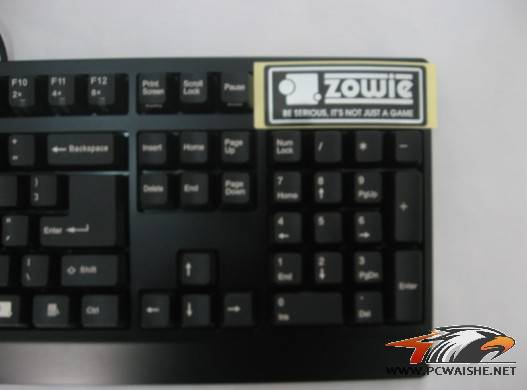 ������ZOWIE CELERITASʹ�ø���