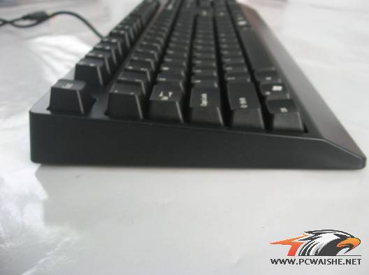 ������ZOWIE CELERITASʹ�ø���