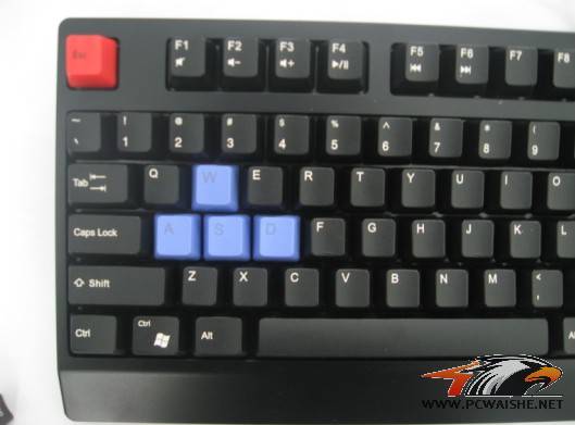 ������ZOWIE CELERITASʹ�ø���