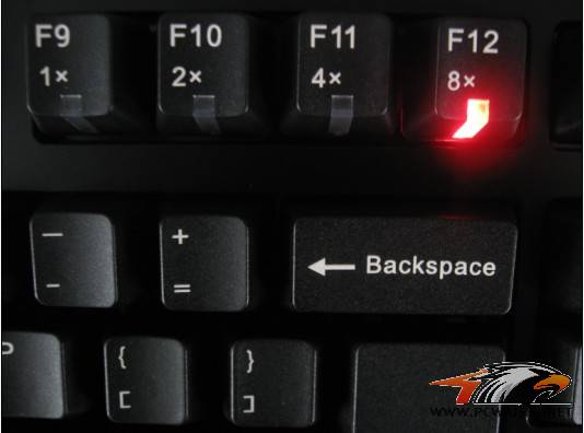������ZOWIE CELERITASʹ�ø���